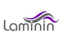 لامینین (laminin)