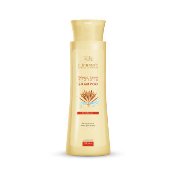 شامپو پروتئینه جوانه گندم سینره مدل Wheat Germ