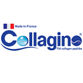کلاژینو (Collagino)