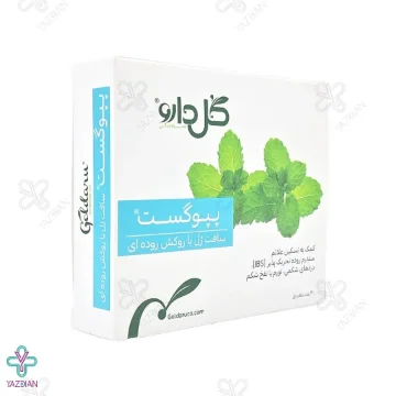 سافت ژل گوارش  پپوگست گل دارو - 30 عددی 
