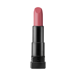 تصویر  رژ لب مات جامد پاستل Pastel Profashion Matte Lipstick